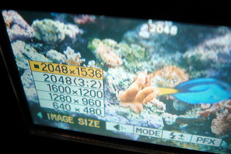 20040903 194940 3029
Photo of the Sony DSC-P5 digicam screen adjusting the image size while photographing a reef tank.  Taken with the Sony DSC-T1.
